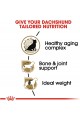 Royal Canin Breed Health Nutrition Dachshund 8+ Adult Dry Dog Food
