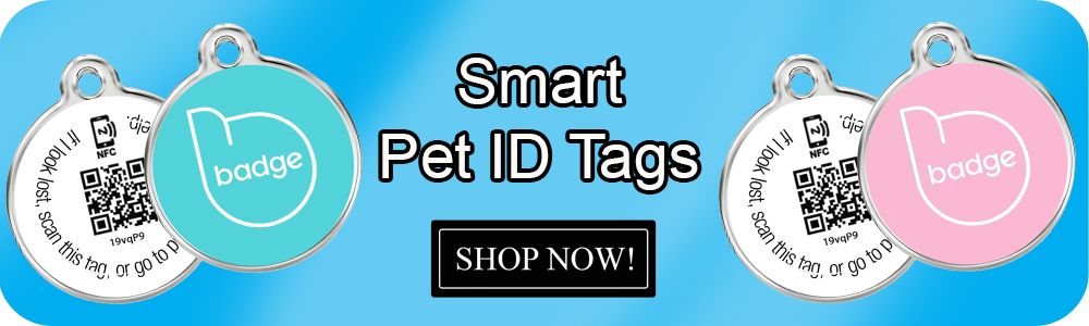 smart dog id tags